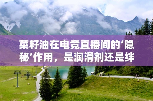 菜籽油在电竞直播间的‘隐秘’作用，是润滑剂还是绊脚石？