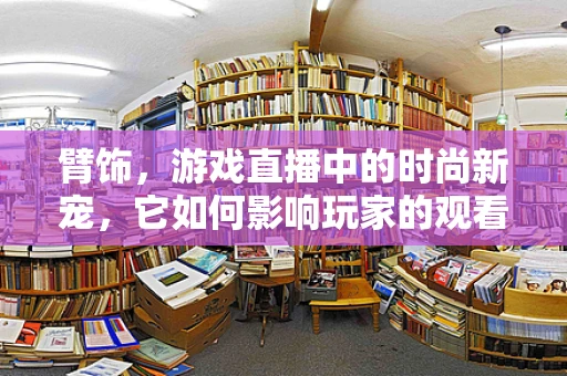 臂饰，游戏直播中的时尚新宠，它如何影响玩家的观看体验？