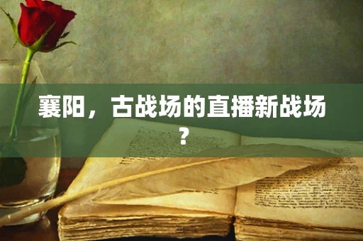 襄阳，古战场的直播新战场？