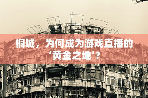 桐城，为何成为游戏直播的‘黄金之地’？