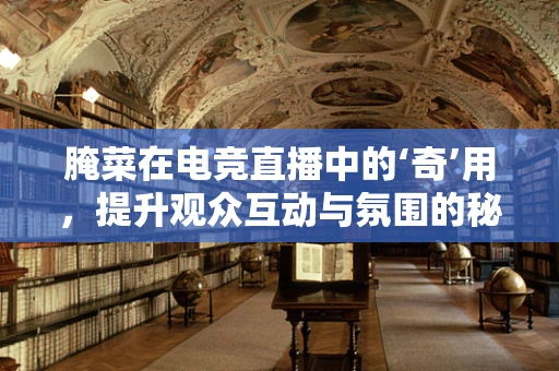 腌菜在电竞直播中的‘奇’用，提升观众互动与氛围的秘密武器？