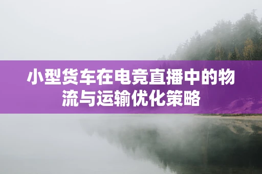 小型货车在电竞直播中的物流与运输优化策略
