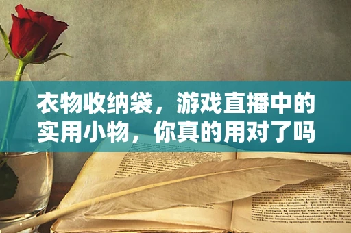 衣物收纳袋，游戏直播中的实用小物，你真的用对了吗？