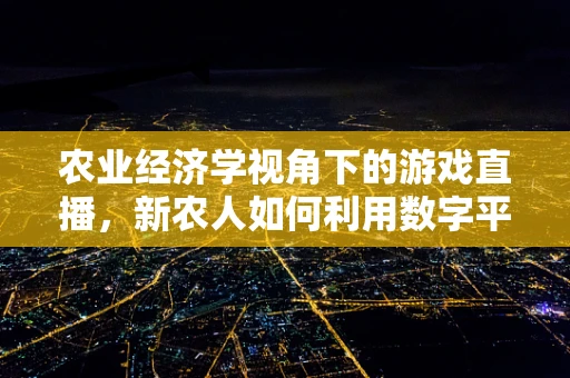 农业经济学视角下的游戏直播，新农人如何利用数字平台？