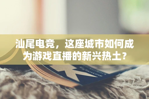 汕尾电竞，这座城市如何成为游戏直播的新兴热土？