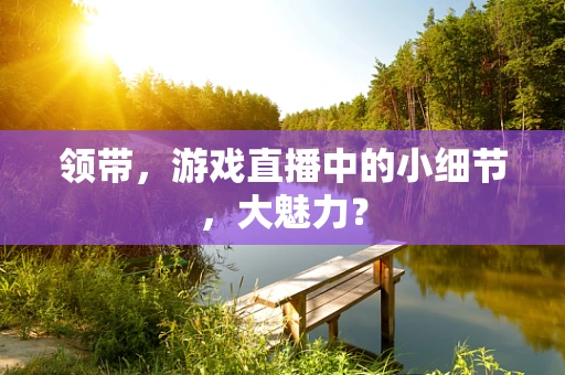 领带，游戏直播中的小细节，大魅力？