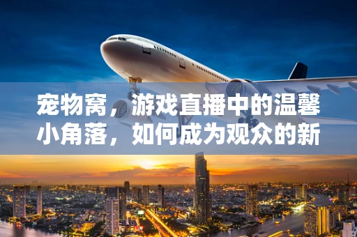 宠物窝，游戏直播中的温馨小角落，如何成为观众的新宠？