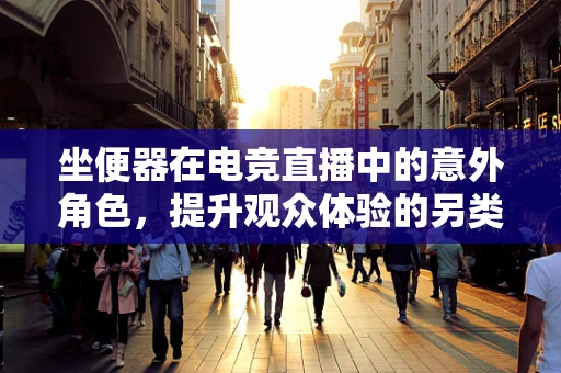 坐便器在电竞直播中的意外角色，提升观众体验的另类神器？