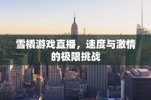 雪橇游戏直播，速度与激情的极限挑战