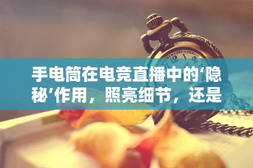 手电筒在电竞直播中的‘隐秘’作用，照亮细节，还是营造氛围？