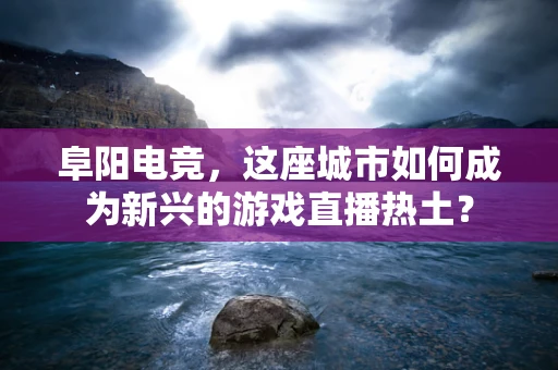 阜阳电竞，这座城市如何成为新兴的游戏直播热土？