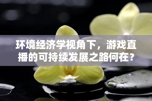 环境经济学视角下，游戏直播的可持续发展之路何在？
