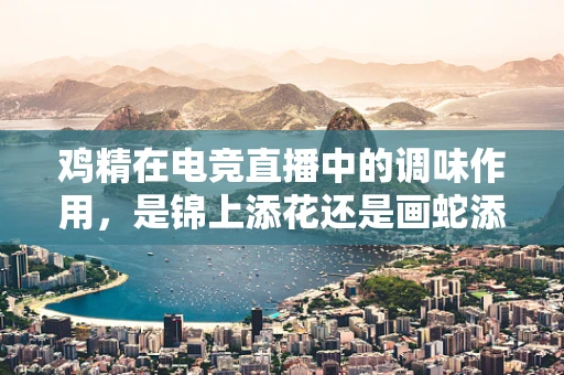 鸡精在电竞直播中的调味作用，是锦上添花还是画蛇添足？
