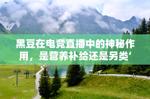 黑豆在电竞直播中的神秘作用，是营养补给还是另类‘buff’？