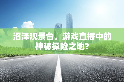 沼泽观景台，游戏直播中的神秘探险之地？