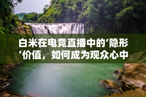 白米在电竞直播中的‘隐形’价值，如何成为观众心中的‘米饭’？