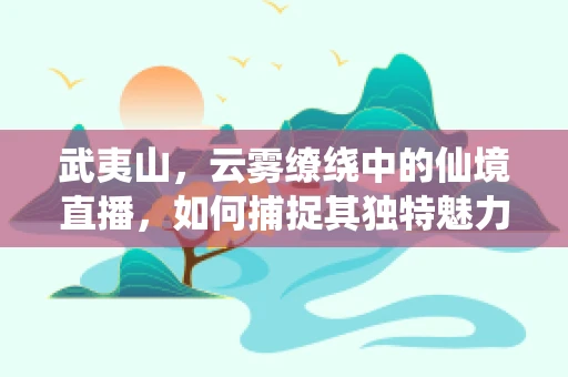 武夷山，云雾缭绕中的仙境直播，如何捕捉其独特魅力？