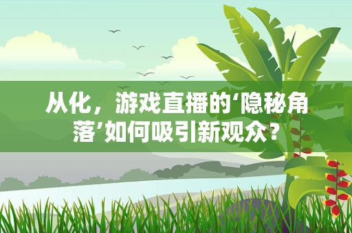 从化，游戏直播的‘隐秘角落’如何吸引新观众？