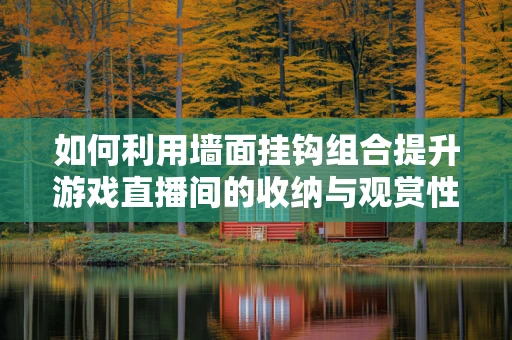 如何利用墙面挂钩组合提升游戏直播间的收纳与观赏性？