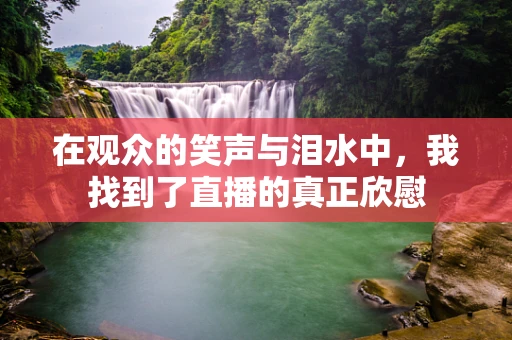 在观众的笑声与泪水中，我找到了直播的真正欣慰