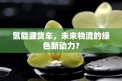 氢能源货车，未来物流的绿色新动力？