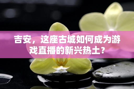 吉安，这座古城如何成为游戏直播的新兴热土？
