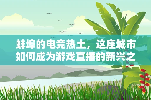 蚌埠的电竞热土，这座城市如何成为游戏直播的新兴之地？