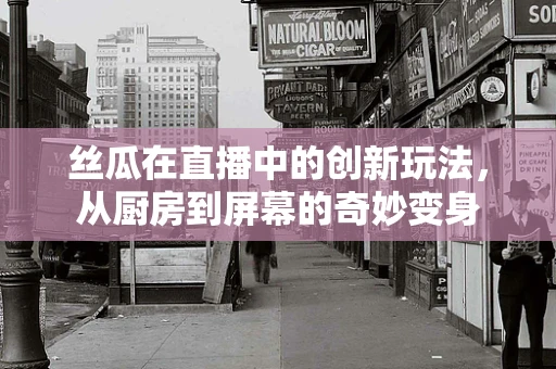 丝瓜在直播中的创新玩法，从厨房到屏幕的奇妙变身