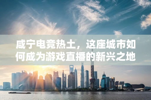 咸宁电竞热土，这座城市如何成为游戏直播的新兴之地？