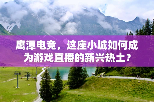 鹰潭电竞，这座小城如何成为游戏直播的新兴热土？