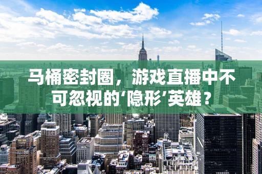 马桶密封圈，游戏直播中不可忽视的‘隐形’英雄？