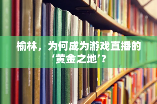 榆林，为何成为游戏直播的‘黄金之地’？
