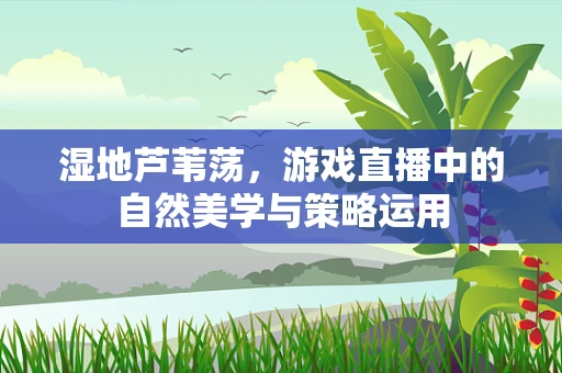 湿地芦苇荡，游戏直播中的自然美学与策略运用