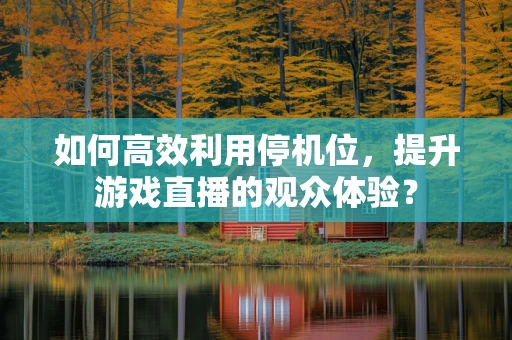 如何高效利用停机位，提升游戏直播的观众体验？