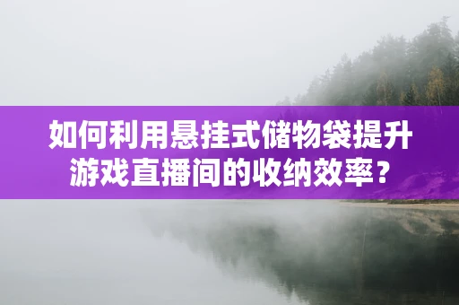 如何利用悬挂式储物袋提升游戏直播间的收纳效率？