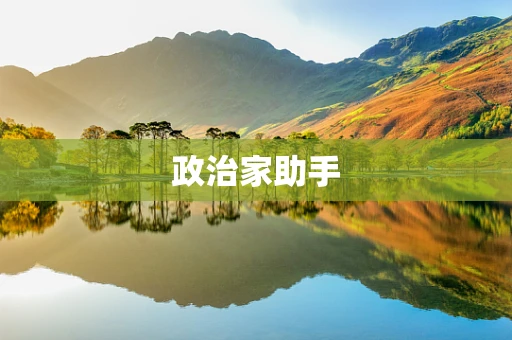 政治家助手