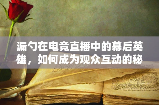 漏勺在电竞直播中的幕后英雄，如何成为观众互动的秘密武器？