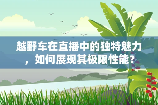 越野车在直播中的独特魅力，如何展现其极限性能？
