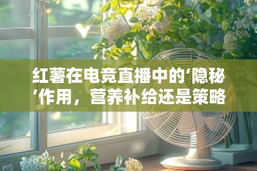 红薯在电竞直播中的‘隐秘’作用，营养补给还是策略道具？