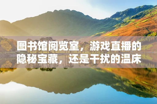 图书馆阅览室，游戏直播的隐秘宝藏，还是干扰的温床？