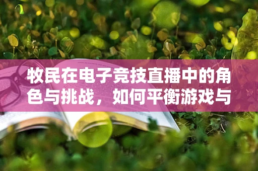 牧民在电子竞技直播中的角色与挑战，如何平衡游戏与现实生活？