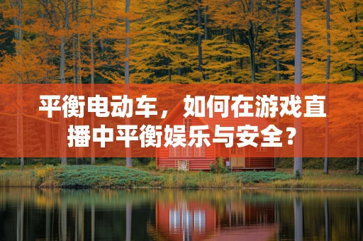 平衡电动车，如何在游戏直播中平衡娱乐与安全？
