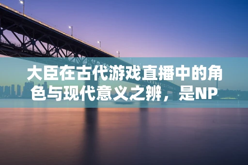 大臣在古代游戏直播中的角色与现代意义之辨，是NPC还是互动伙伴？