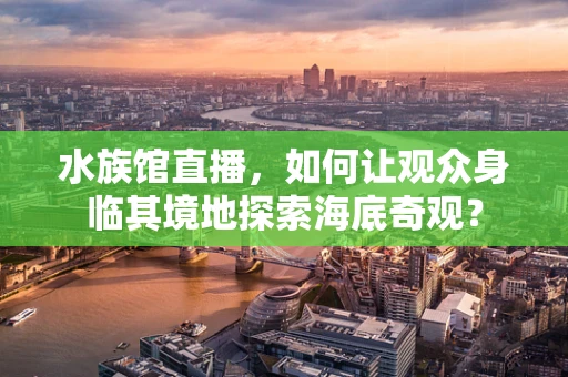 水族馆直播，如何让观众身临其境地探索海底奇观？