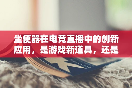 坐便器在电竞直播中的创新应用，是游戏新道具，还是直播新奇观？