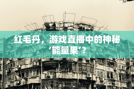 红毛丹，游戏直播中的神秘‘能量果’？