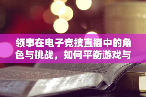 领事在电子竞技直播中的角色与挑战，如何平衡游戏与国家形象的双重责任？