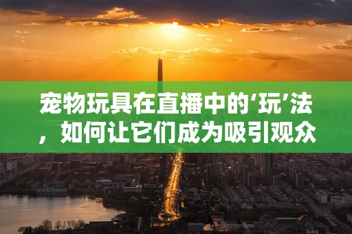 宠物玩具在直播中的‘玩’法，如何让它们成为吸引观众的秘密武器？