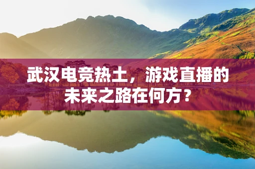 武汉电竞热土，游戏直播的未来之路在何方？