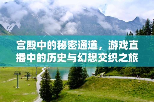 宫殿中的秘密通道，游戏直播中的历史与幻想交织之旅